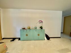 Cairnhill Crest (D9), Condominium #535243691